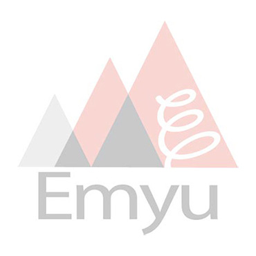 株式会社Emyu